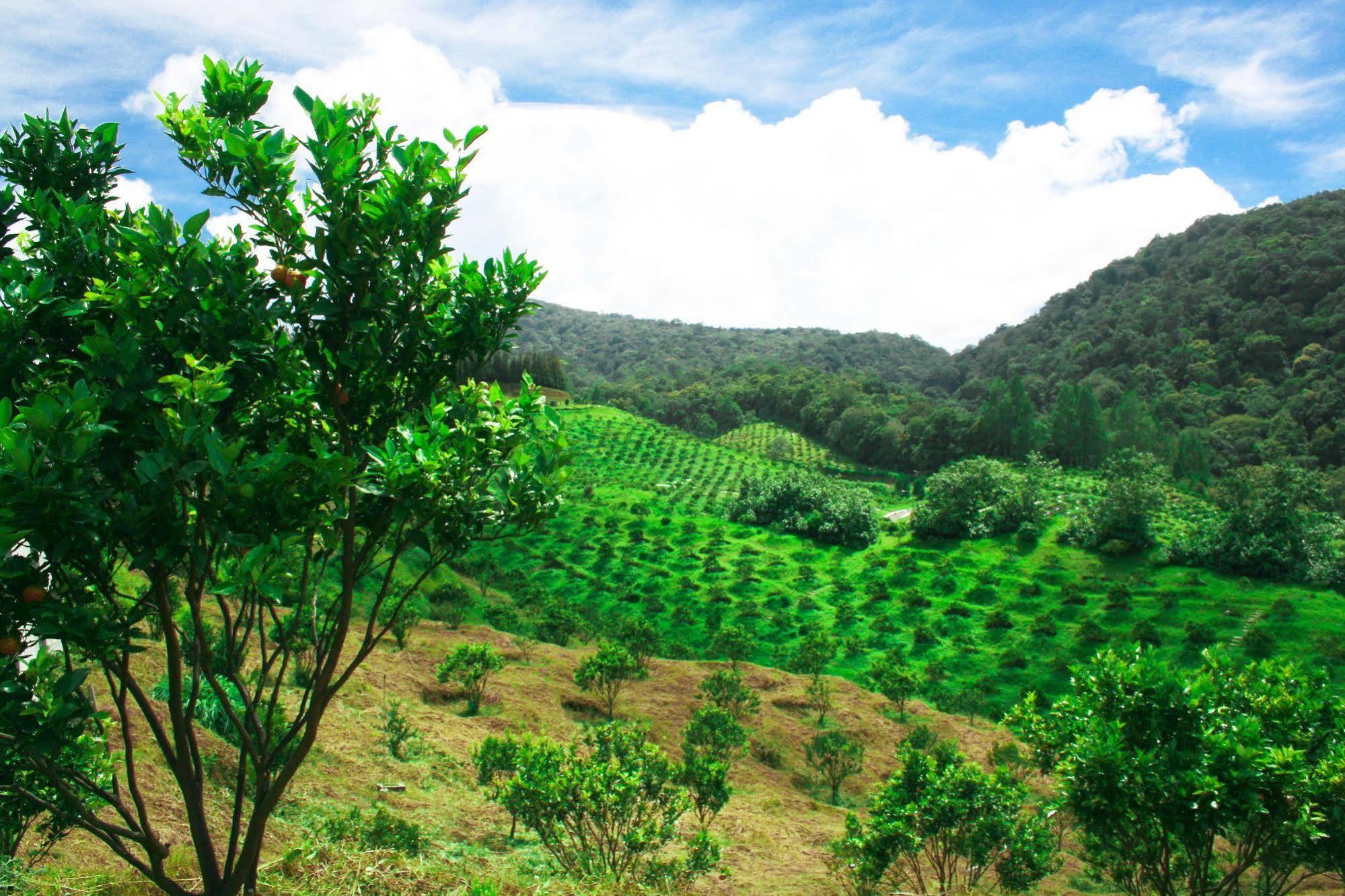 Taman Simalem Resort Tongging Exterior foto